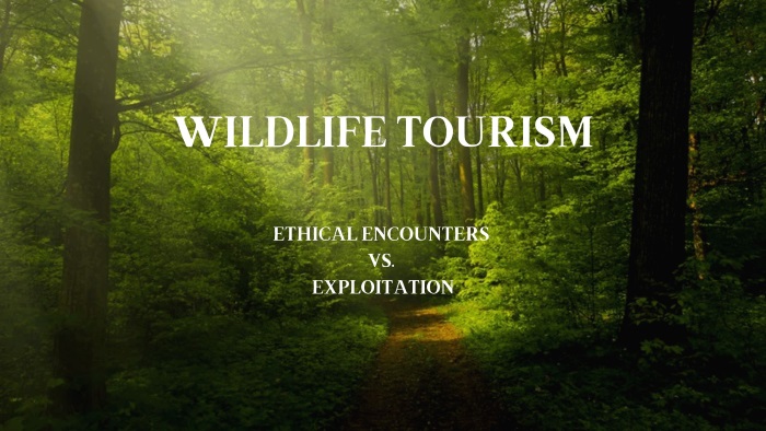 Wildlife Tourism