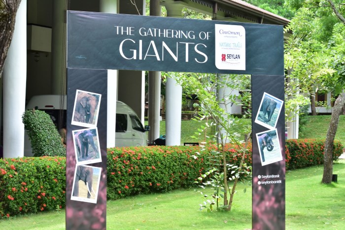 Cinnamon Habarana Invites Indian Travellers to Asia’s Largest Elephant Gathering – 2025