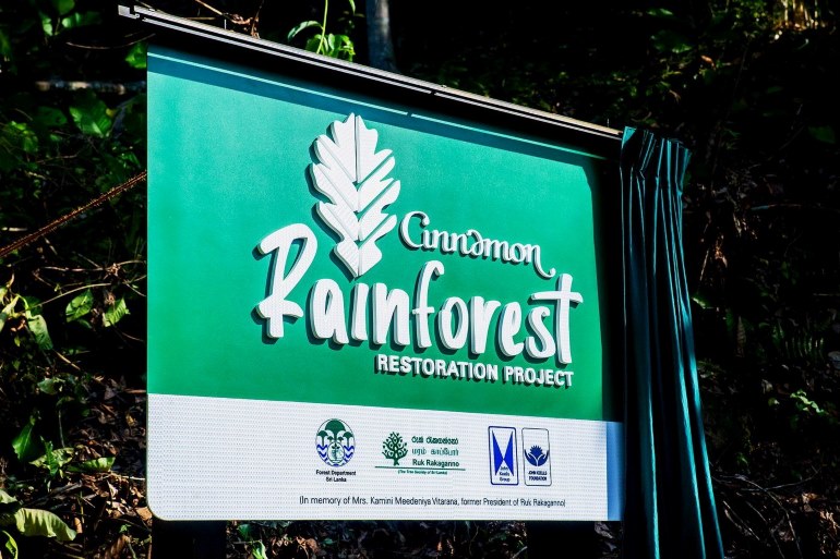Cinnamon Hotels