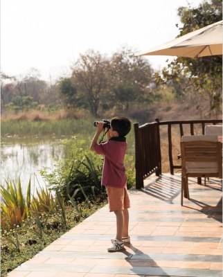 Tipai by Wildlife Luxuries